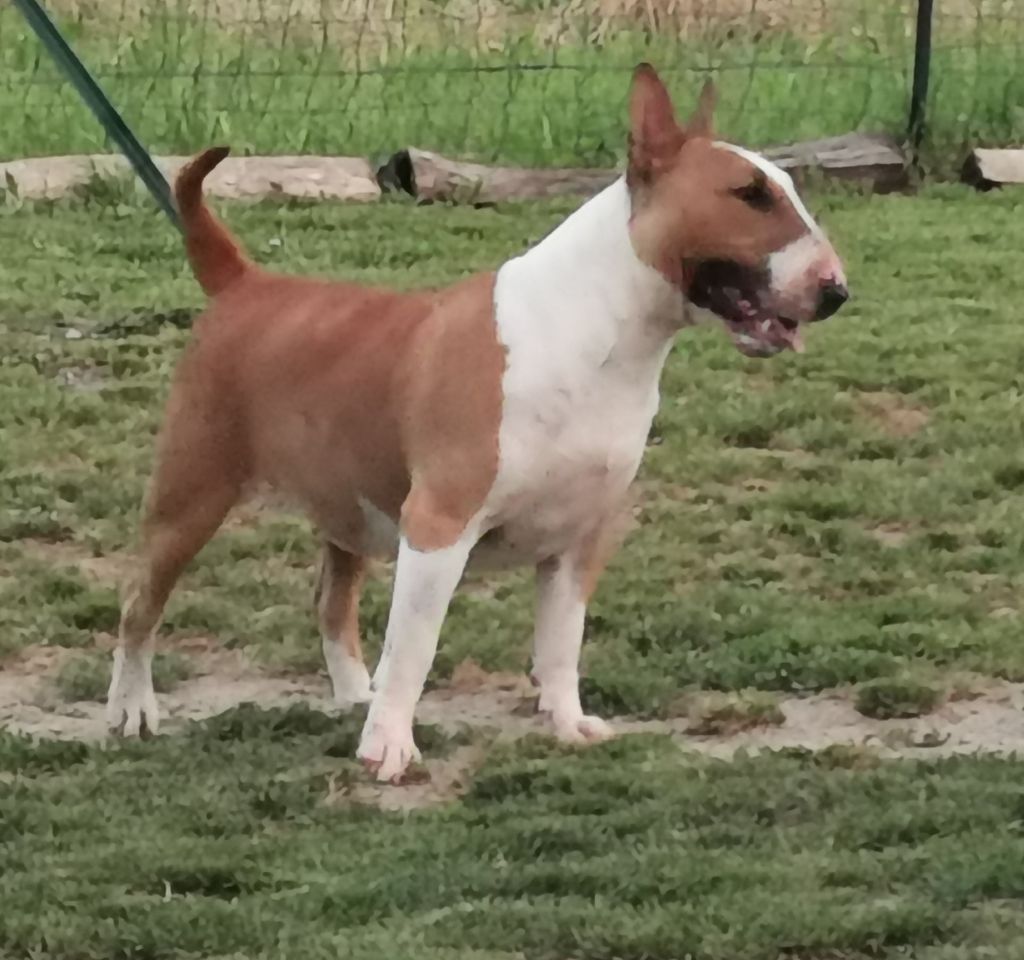 Eenie Meenie Miney Mo O''fiona